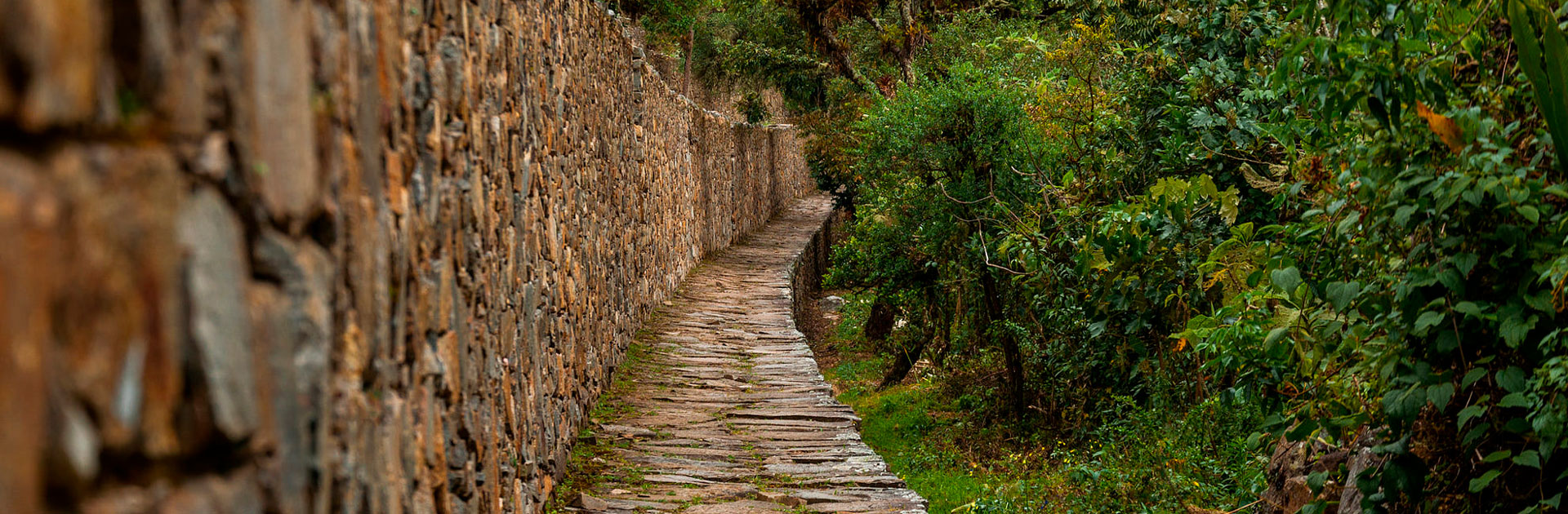 Trek Choquequirao 9D/8N Trek Choquequirao 9D/8N