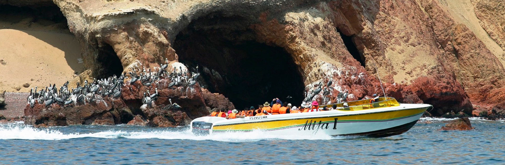 Islas Ballestas & Reserva de Paracas 1 Día